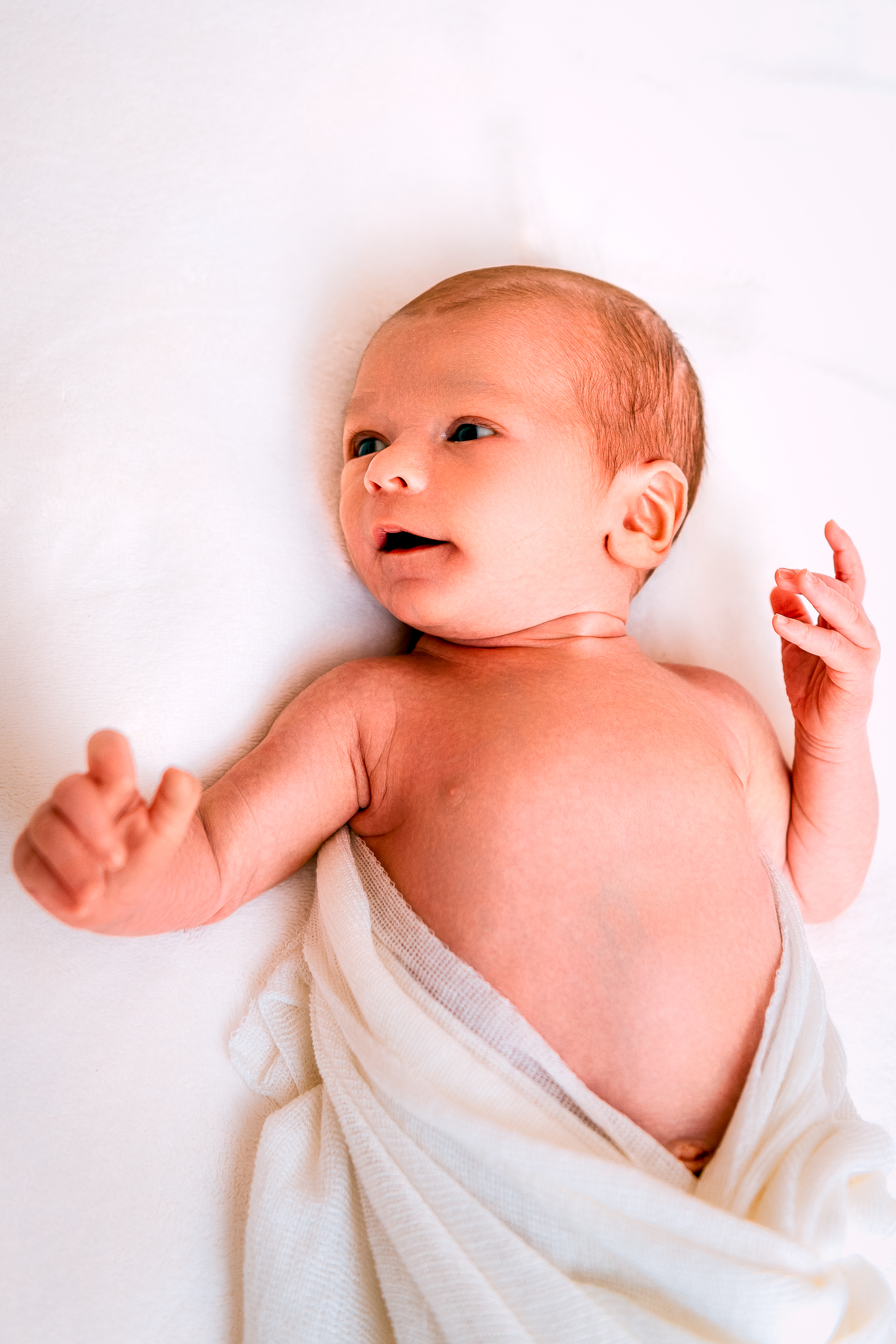 Newborn in Knit Wrap